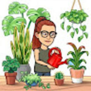 Meet your Posher, Haydn